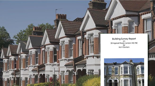Building Survey Report
